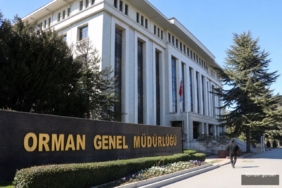 Temsili görsel: Orman Genel Müdürlüğü, 12 Müfettiş Yardımcısı Alımı Yapacak