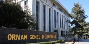 Temsili görsel: Orman Genel Müdürlüğü, 12 Müfettiş Yardımcısı Alımı Yapacak